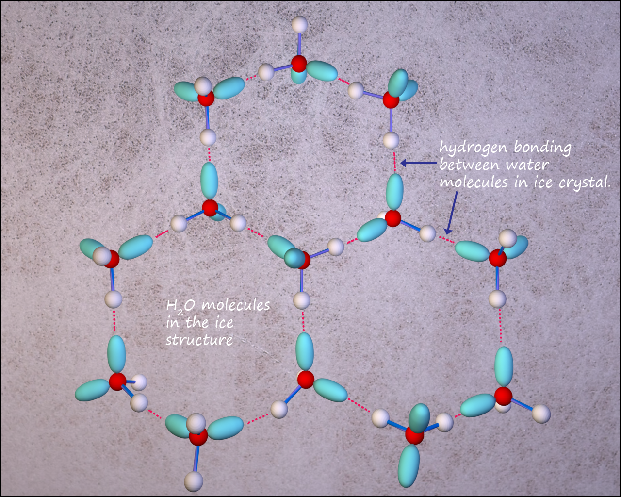 hydrogen-bonding